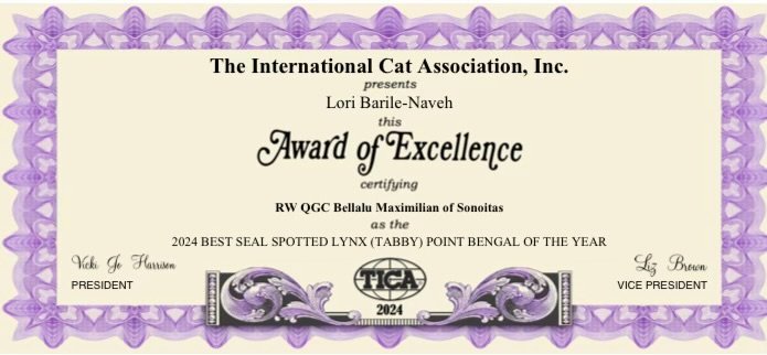 TICA Award of Excellence certificate, RW QGC Bellalu Maximilian of Sonoitas, 2024 Best Seal Spotted Lynx Bengal of the Year