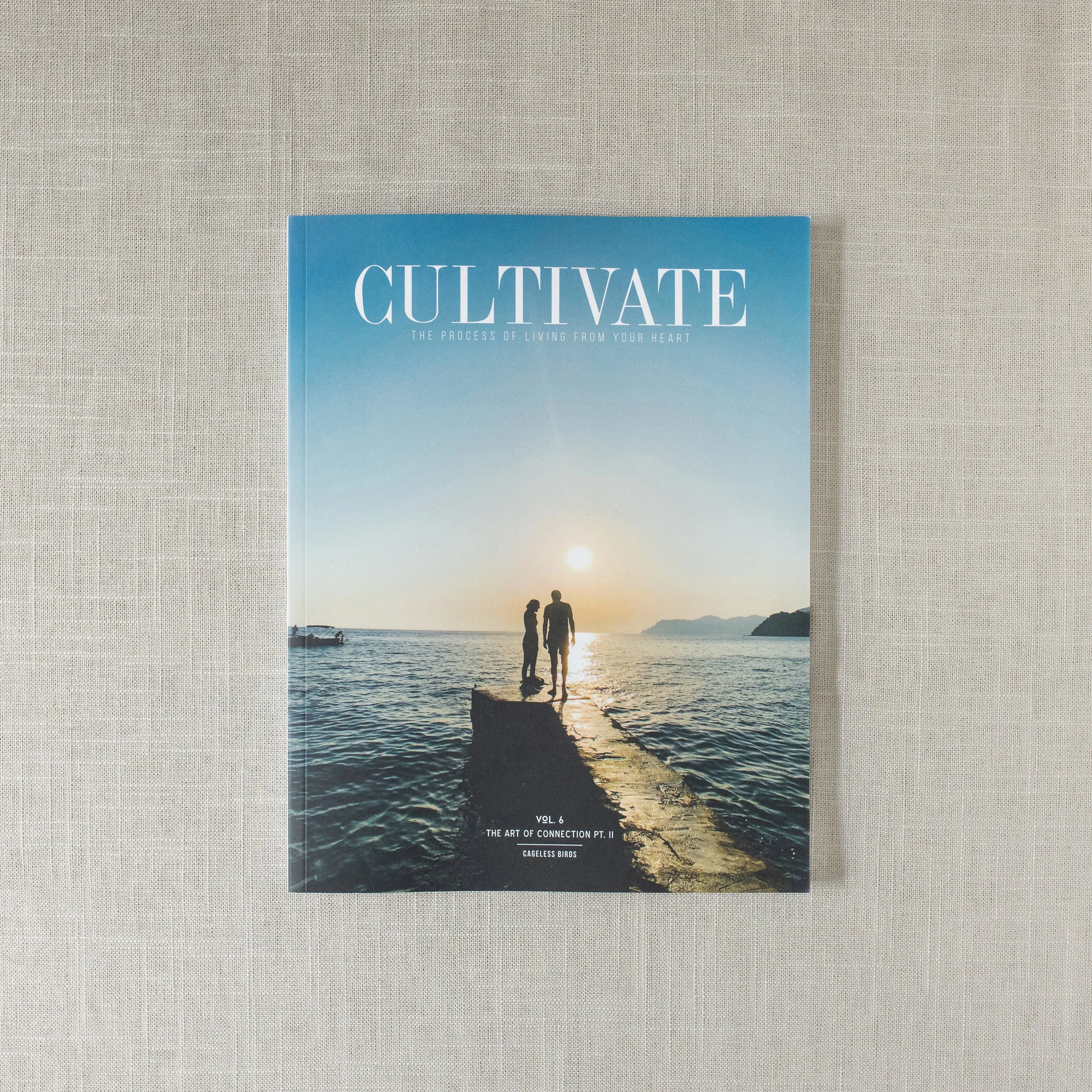 Cultivate Vol. 6 Promo-1.jpg
