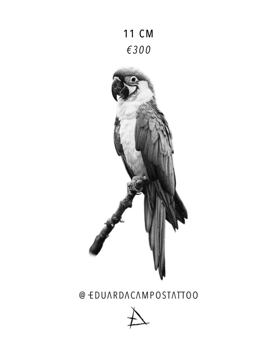 "Arara" by @eduardacampostattoo | Deposit | ON SALE FOR €280 (Full price €300)