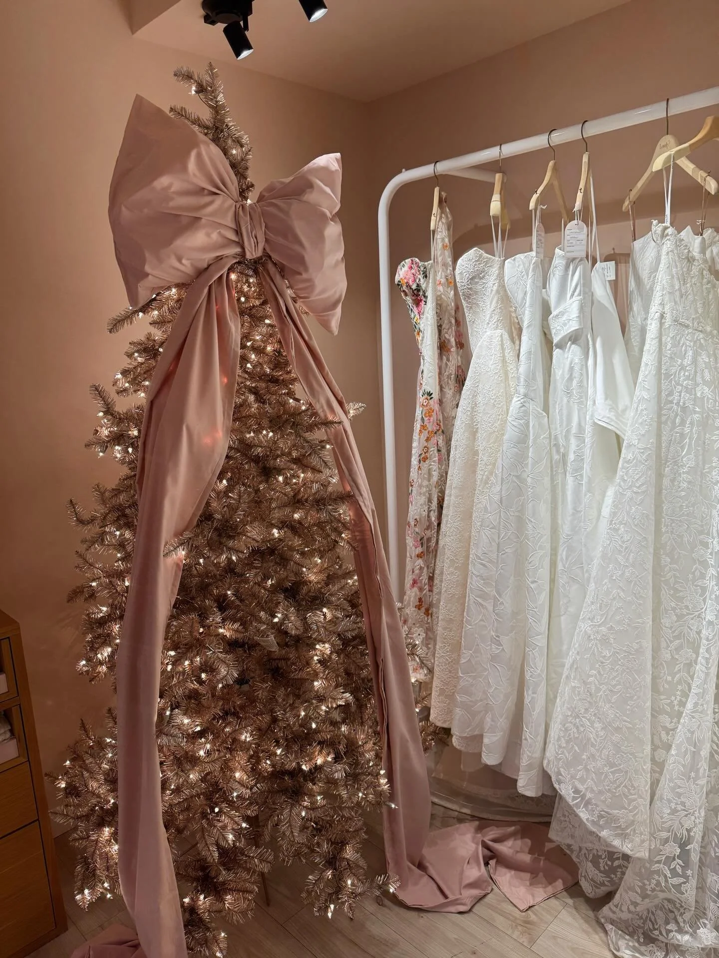 @_kenziecarter_  went dress shopping today!! And we are giddy!! 🎀🎀🤍

AWhiteWeddings&reg;, LLC Luxury Service Based Wedding Planning Business. Serving couples in Middle TN. Budgets ranging from 30K-200K. Email or click the link in our bio to regist