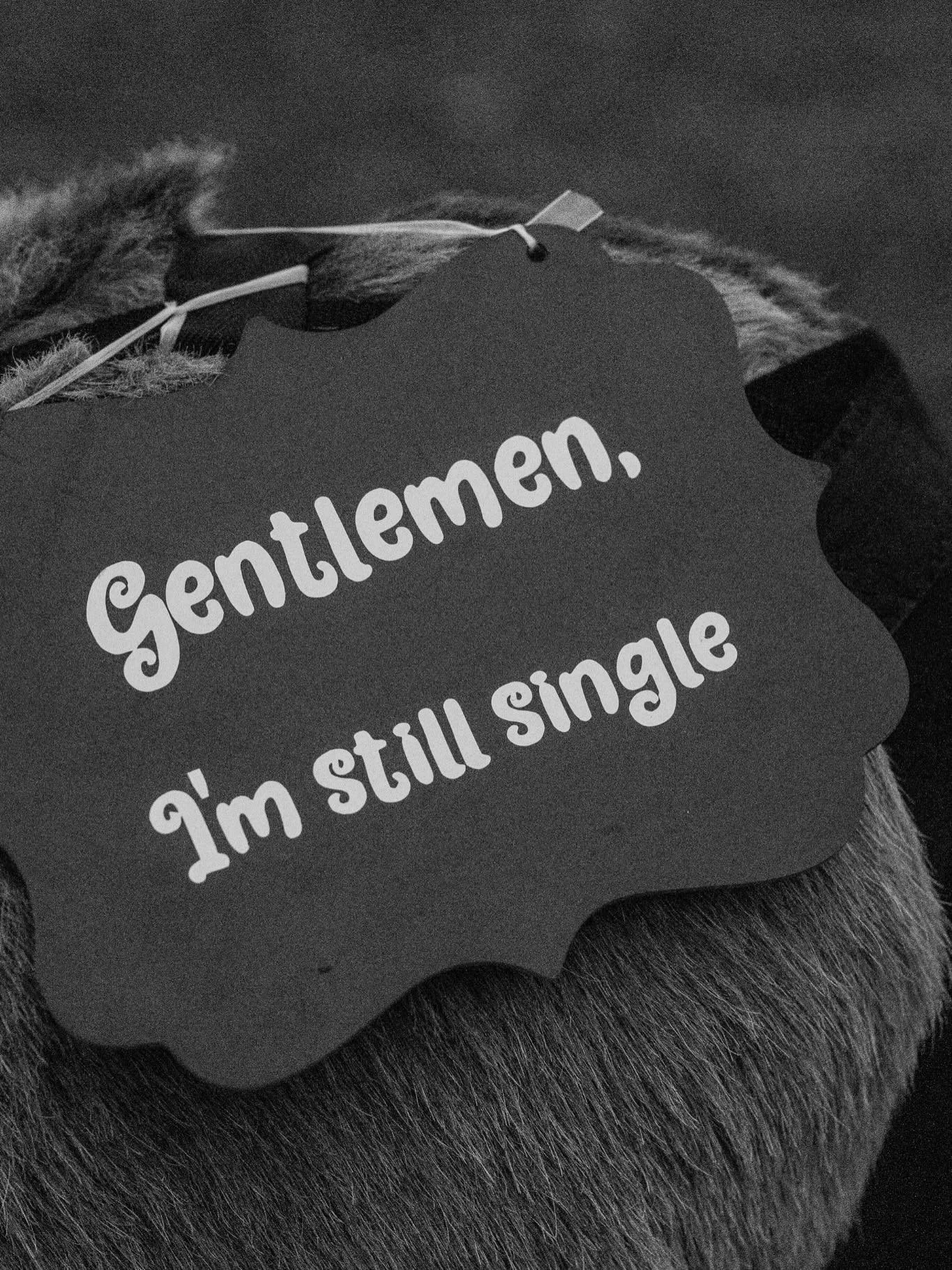 Valentine&rsquo;s Day Status: available &hearts;️🏹

AWhiteWeddings, LLC Service Based Wedding Planning Business. Serving couples in Middle TN. Budgets ranging from 30K-200K. Email or click the link in our bio to register for Summer of &lsquo;26-2027