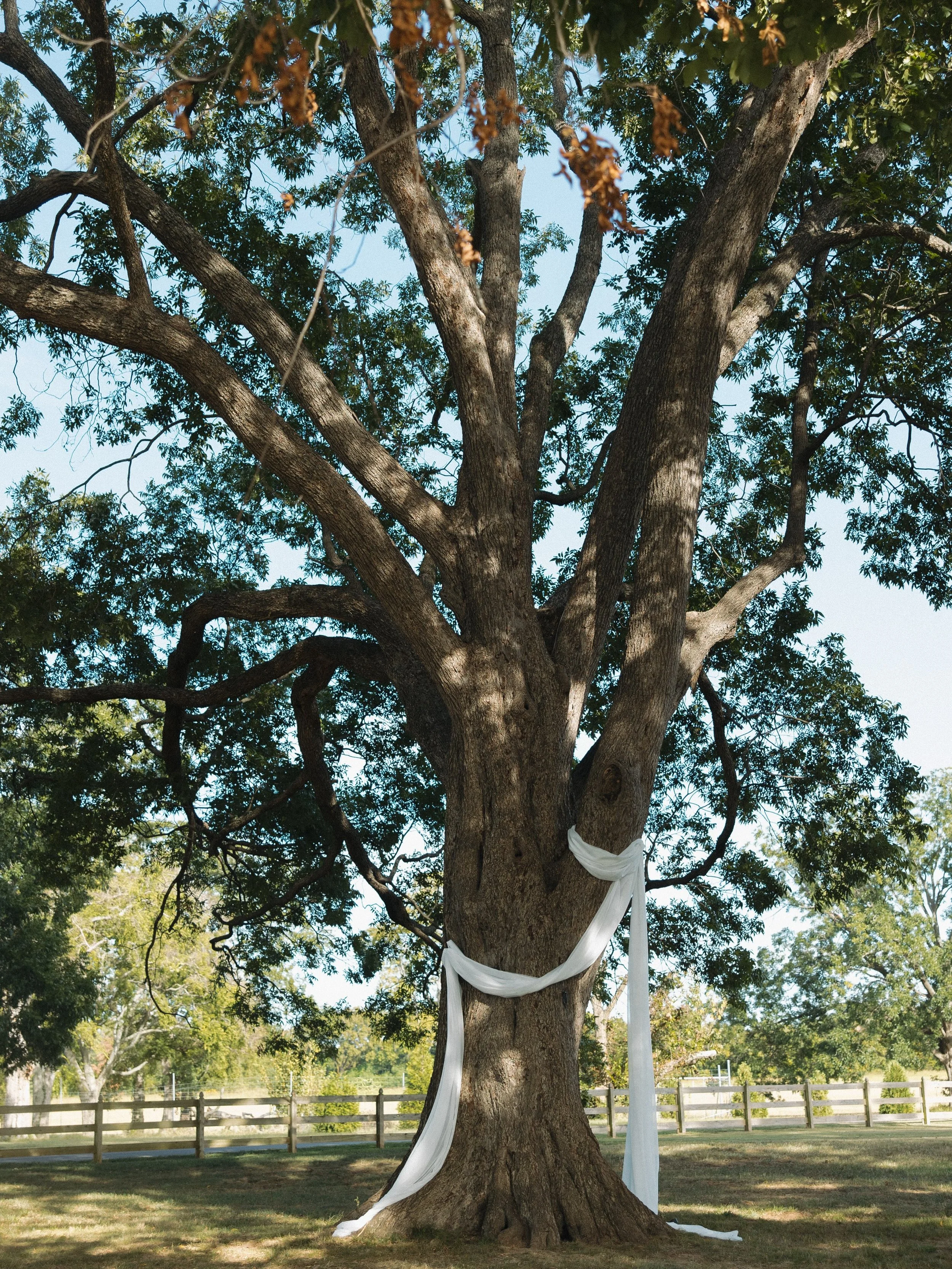 And all there&rsquo;s left to say is &ldquo;I do&rdquo; 

The Team Behind the Wedding: 
Planning: @awhiteweddings 
Venue: @williamsonfamilyfarmtn 
Beauty: @beautybytayloralexander 
Photographer: @nataliecookweeksphoto 
Bridesmaid alterations: @patien