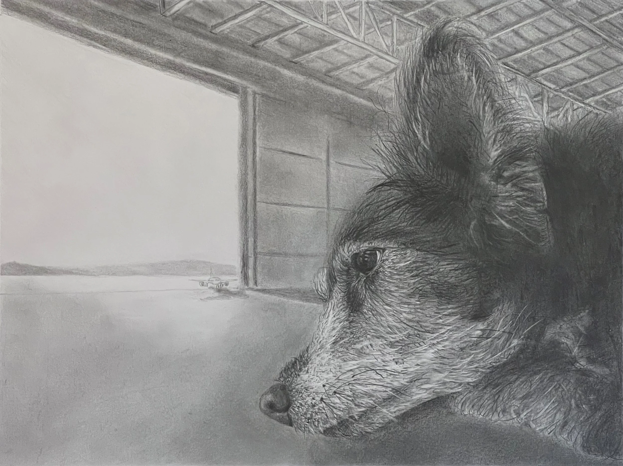 Jack 737, 2023, pencil, 9" x 12"