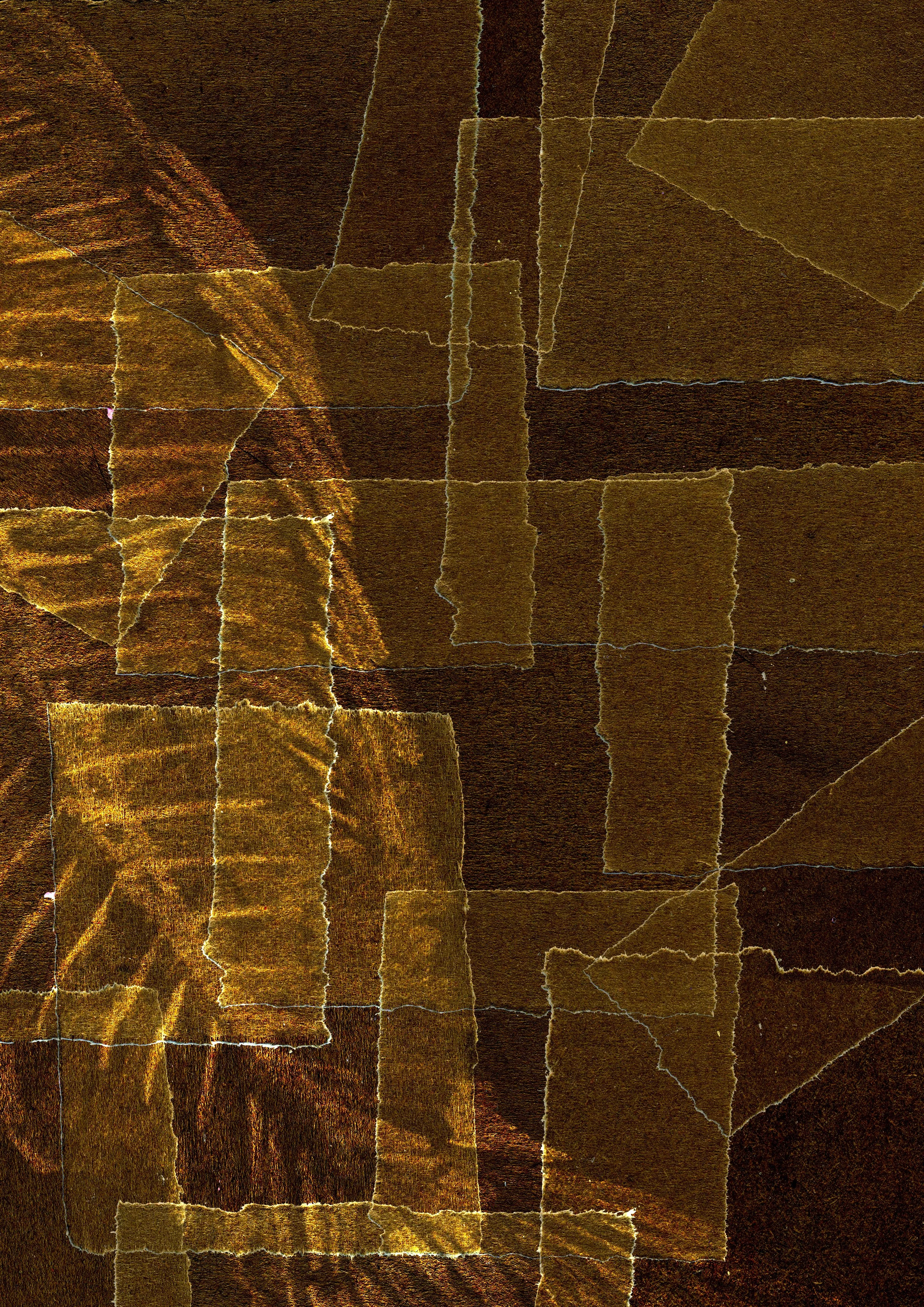 Fish fossil poster 2.jpg