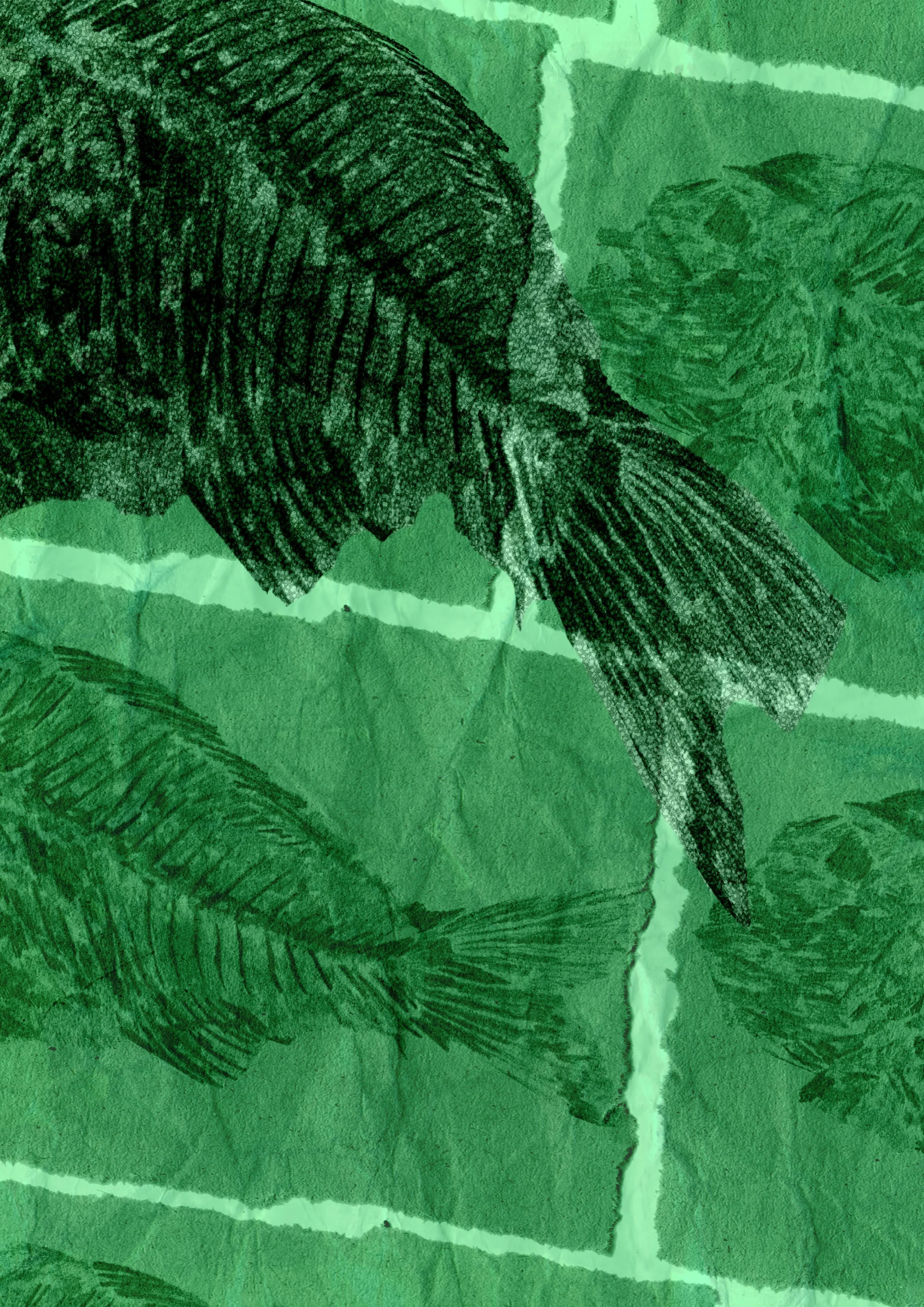 Fish fossil poster 5.jpg