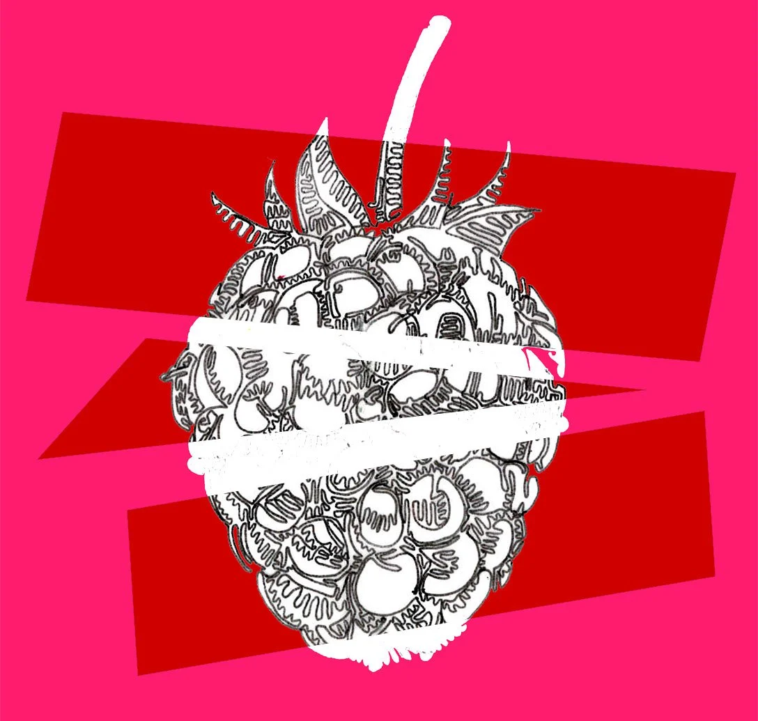 raspberry 1 edit cropped.jpg