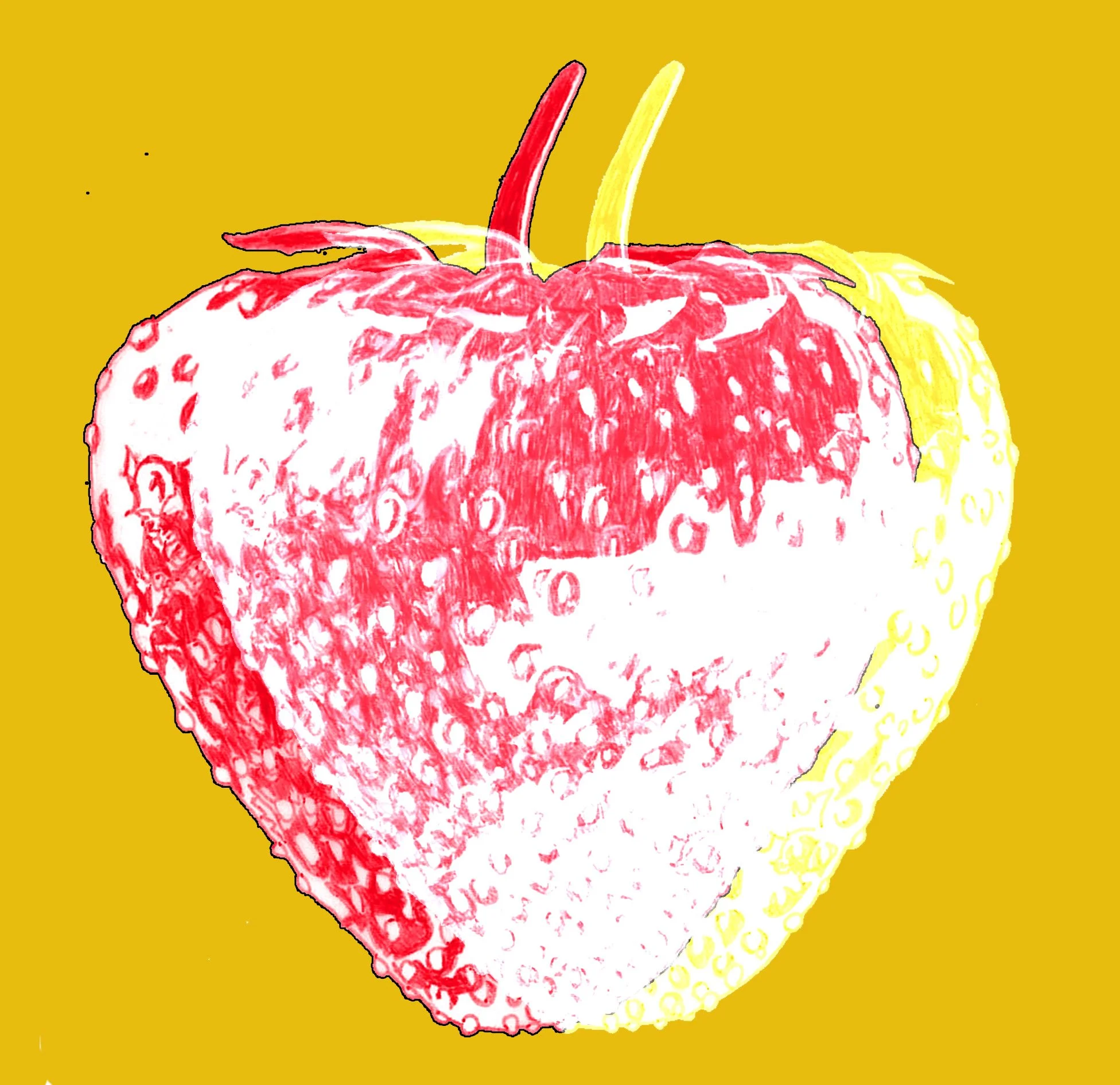 strawberry1 cropped.jpg