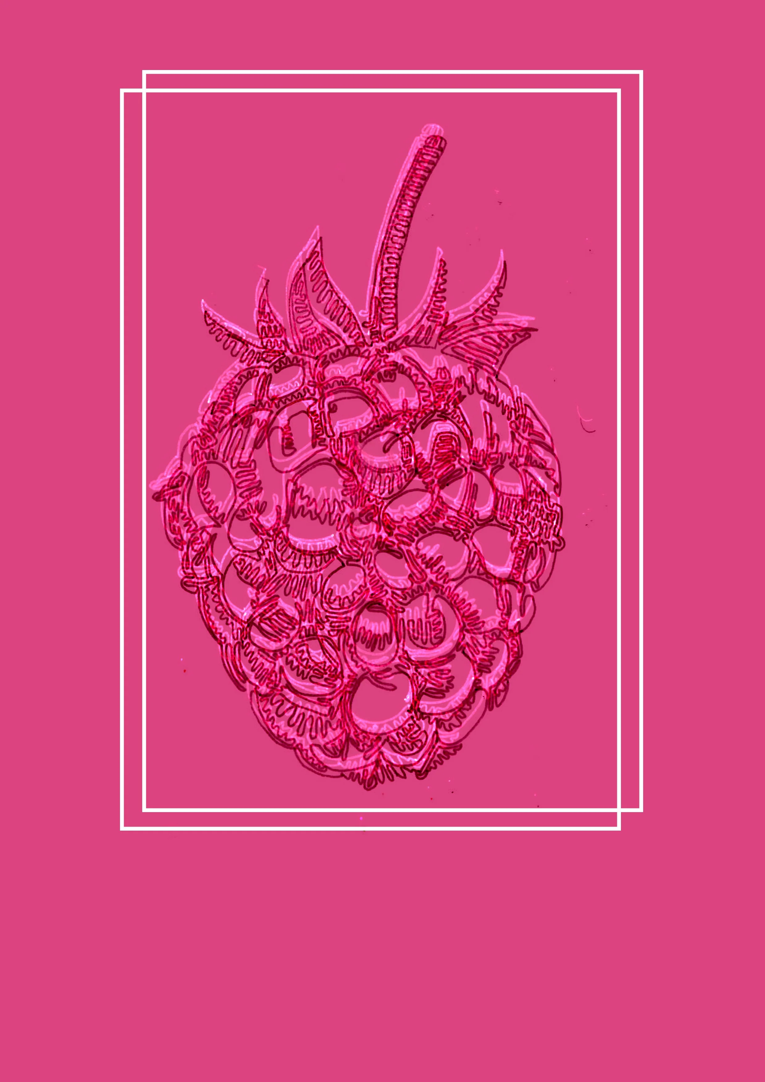 raspberry3.jpg