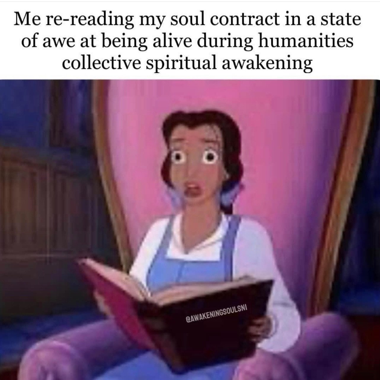 Exploring your soul contract can be enlightening and also very healing.

Soul contracts are agreed upon before your incarnation and can be renegotiated but some parts of it cannot. 

Soul contracts are created in higher realms and not by the consciou