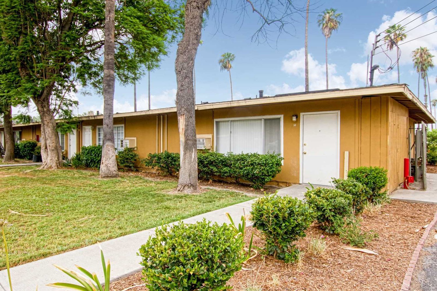 This image captures a side angle of the single-story residential building, highlighting a concrete sidewalk that cuts through the green grass lawn toward a white front door surrounded by palm trees and round, green shrubs. 