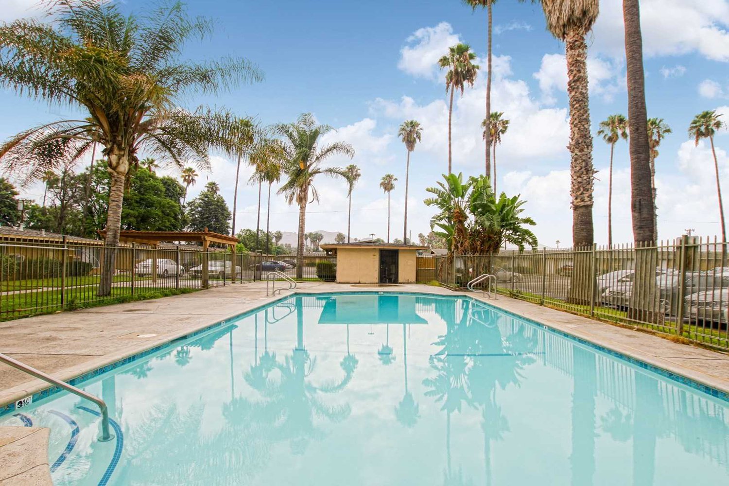 This image highlights a large, sparkling swimming pool centered within a fenced-in concrete sun deck courtyard. Surrounding the fence are palm trees. 
