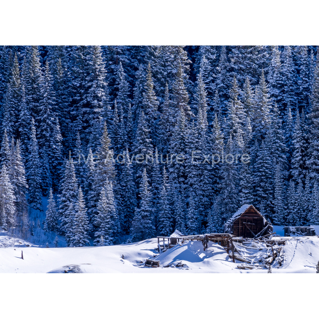 image_original_ecd7c555cc337b01a6bd8bb835ff96b0.png