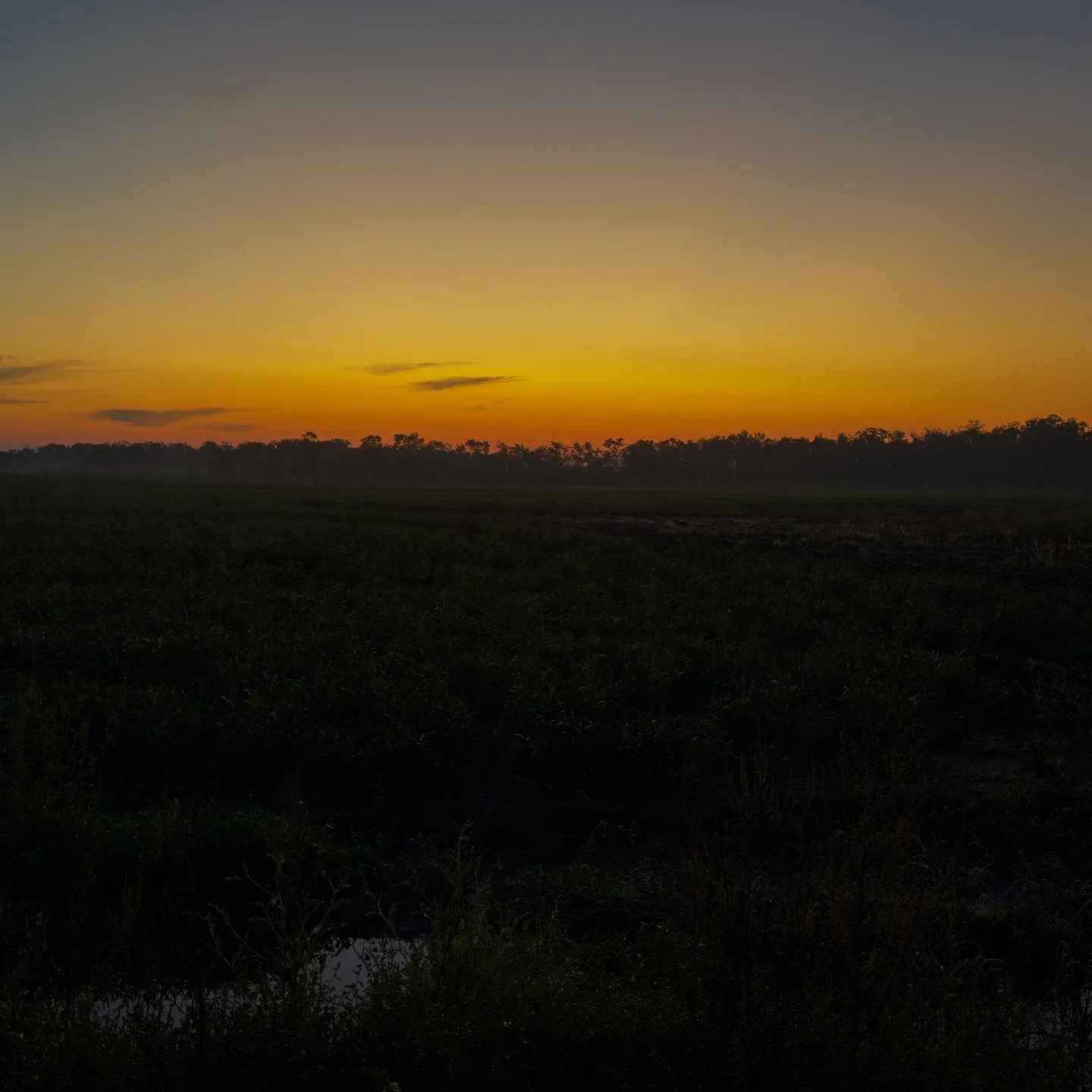 A post-hurricane Louisiana sunrise. The first clear morning since Hurricane Francine #louisiana #sunrise #louisianasunrise #liveadventureexplore #williamwise #hurricanefrancine