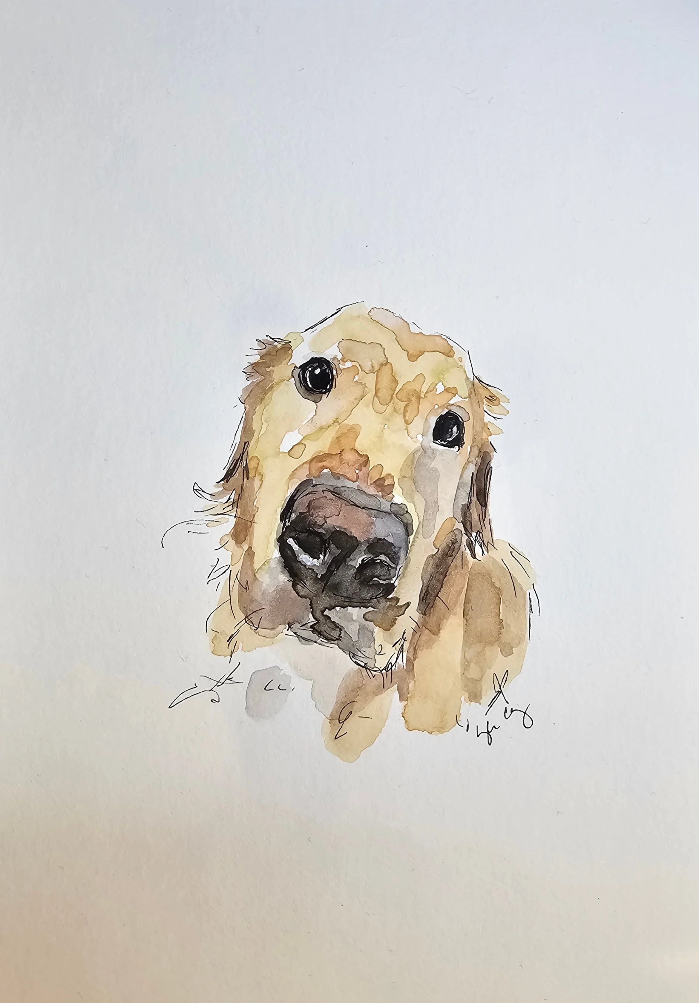 20251128_160031 (1).jpg