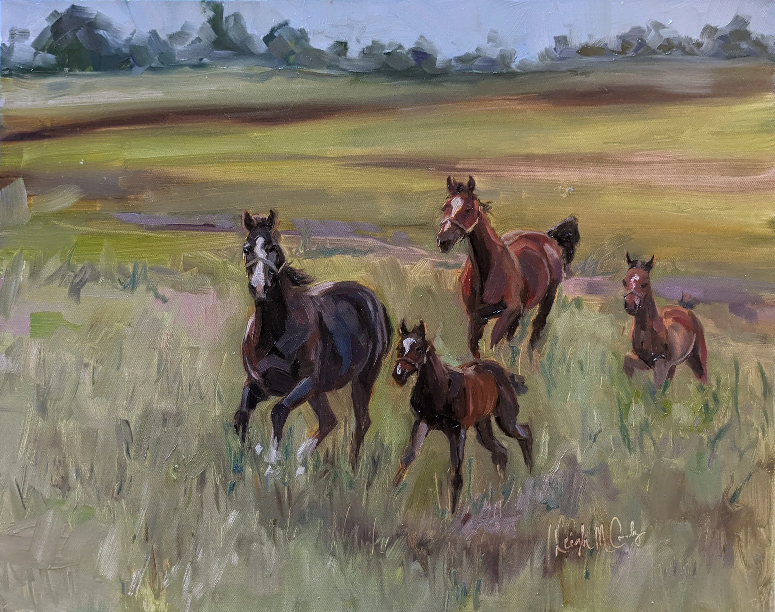 "Freedom" private collection