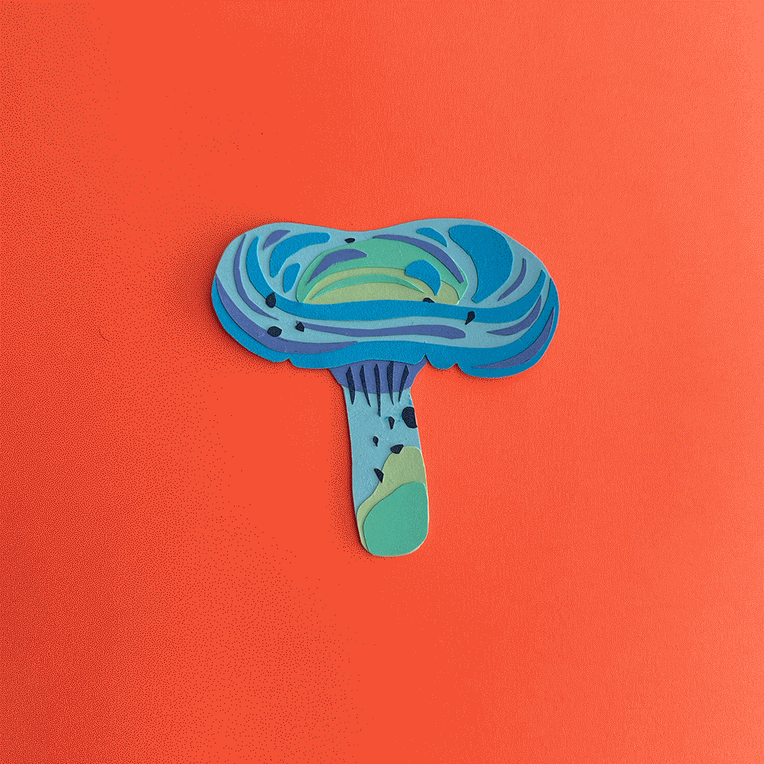paper-gif.gif