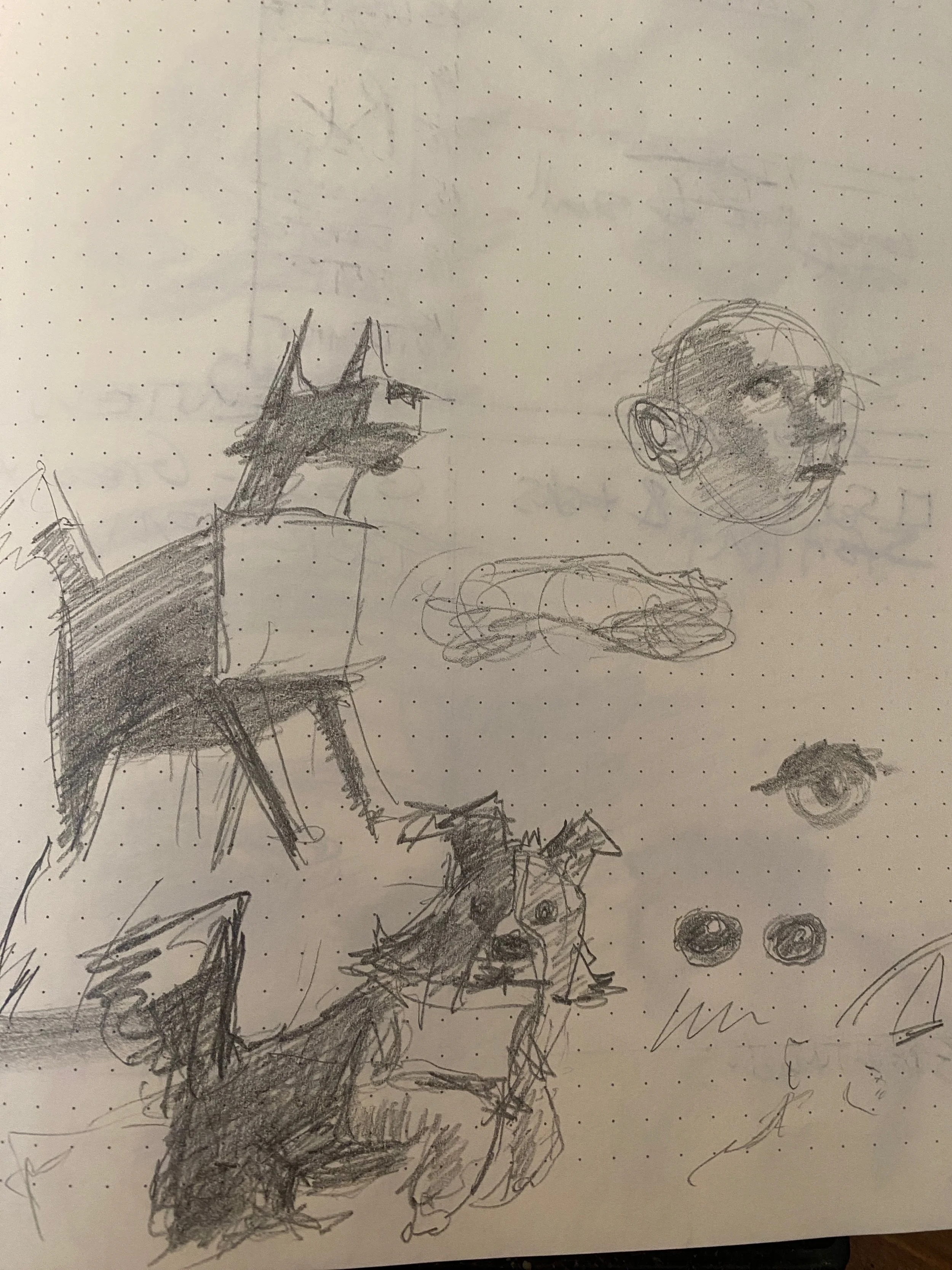 Gallimor - 8 of 8.jpeg