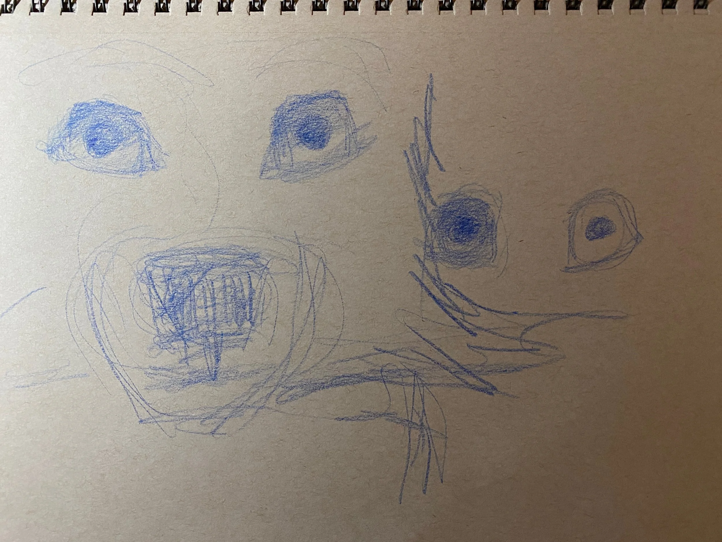 Gallimor - 4 of 8.jpeg