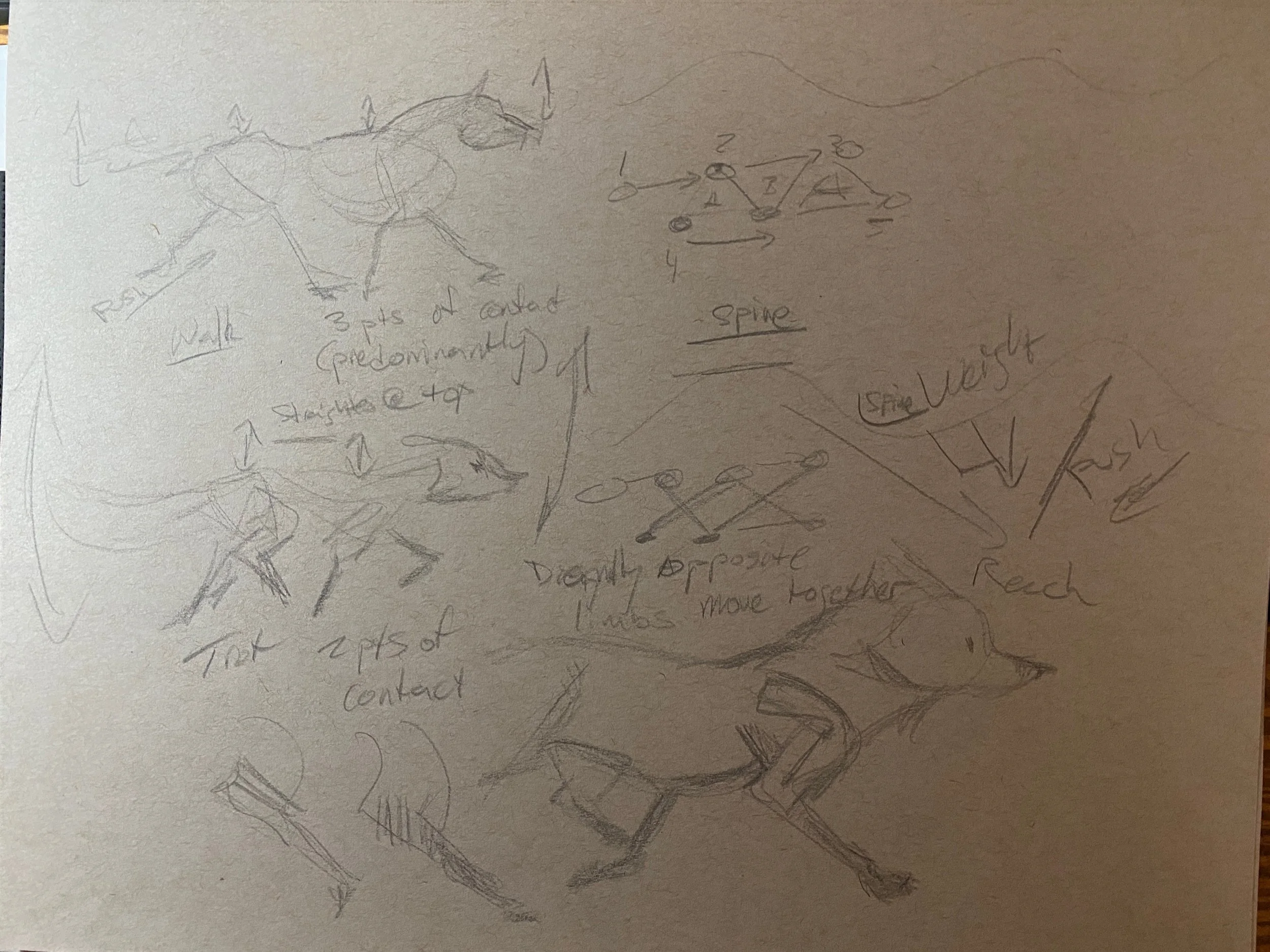 Gallimor - 3 of 8.jpeg