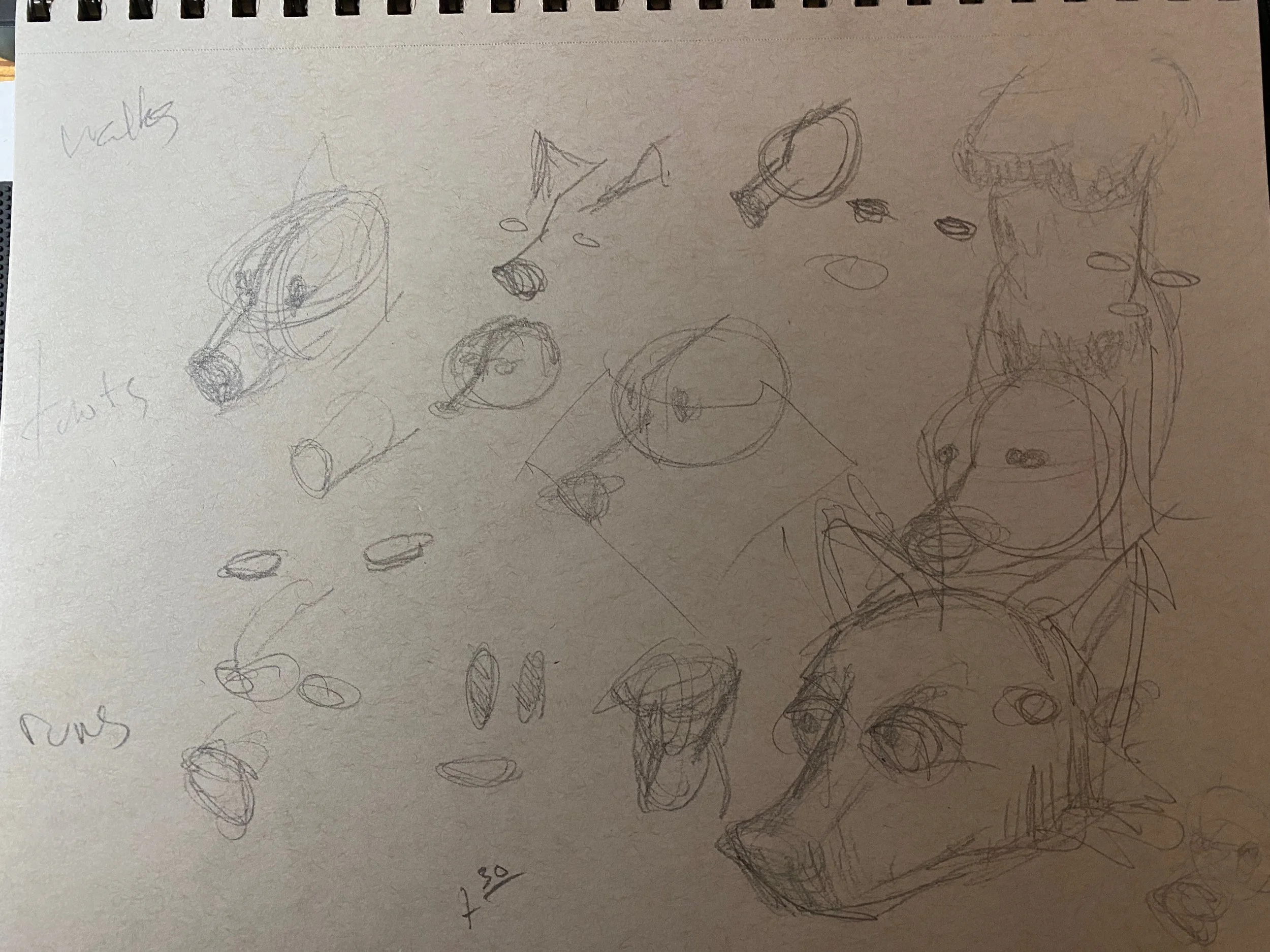 Gallimor - 2 of 8.jpeg