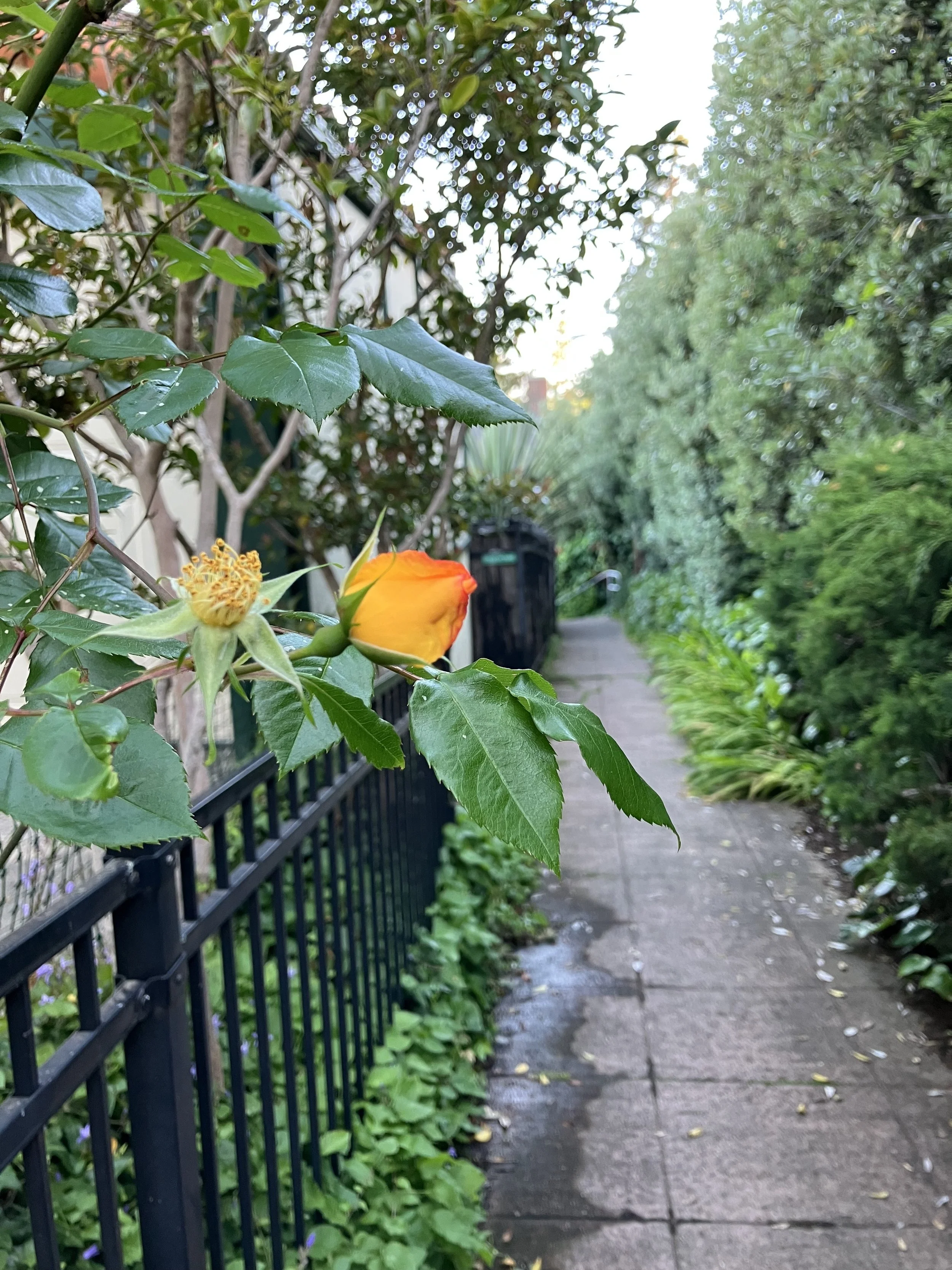 The Introverted Writer’s Guide to Attending the AWP Conference