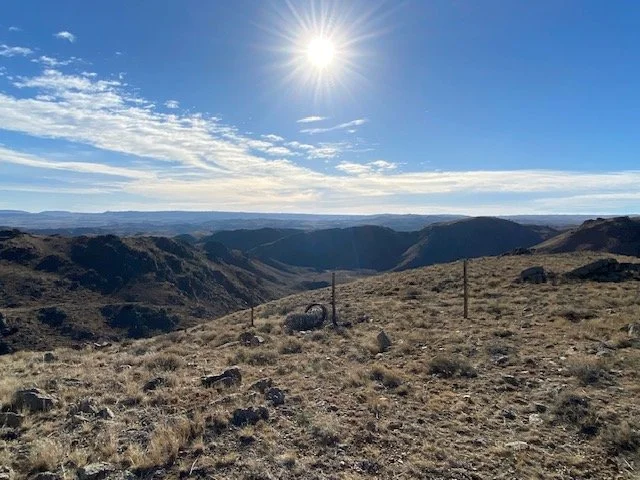 SYBILLE CANYON WILDLIFE  FENCE WY
