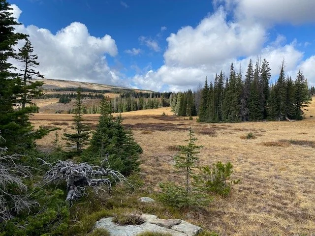 CARBON COUNTY, WYOMING SUBDIVISION