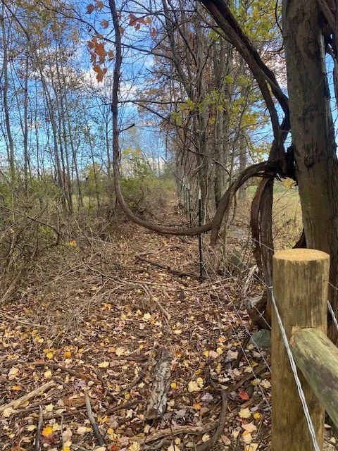 WILDLIFE PERIMETER FENCING AND SURVEY