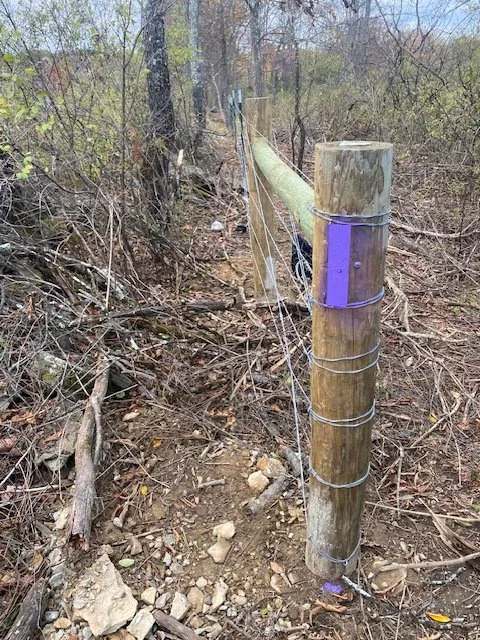 WILDLIFE PERIMETER FENCING AND SURVEY, PROJECT PURPLE PAINT