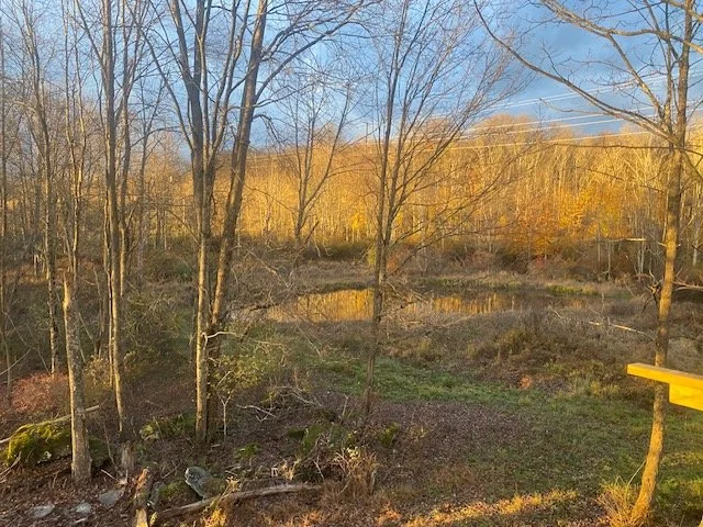 SMALL POND REHABILITION - LACKAWANNA COUNTY, PA