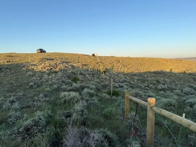 SYBILLE CANYON WILDLIFE  FENCE WY