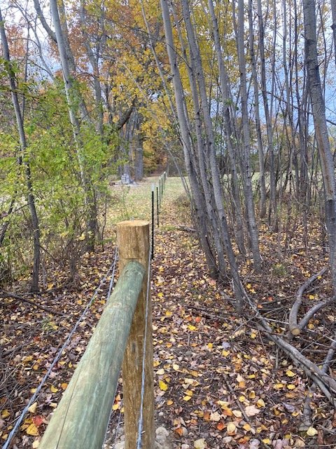 WILDLIFE PERIMETER FENCING AND SURVEY