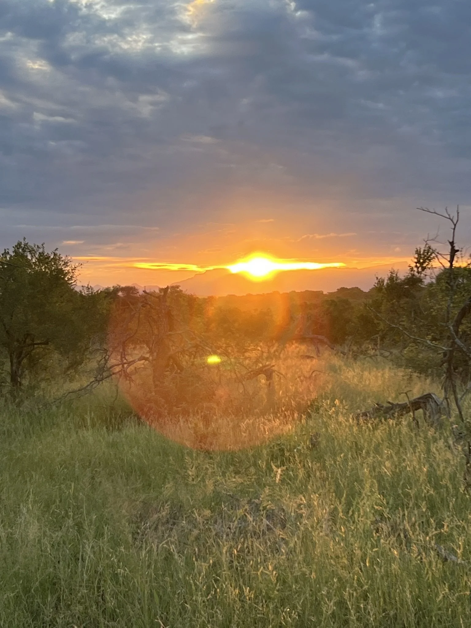 African Sunset.JPEG
