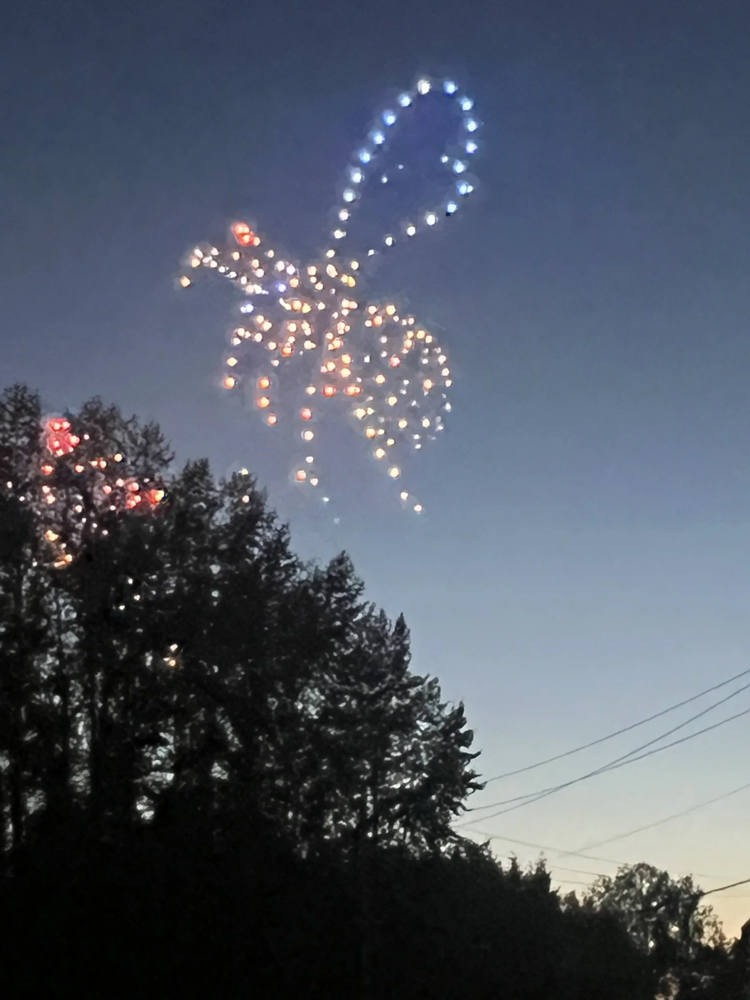 Drone Show Insect.JPEG