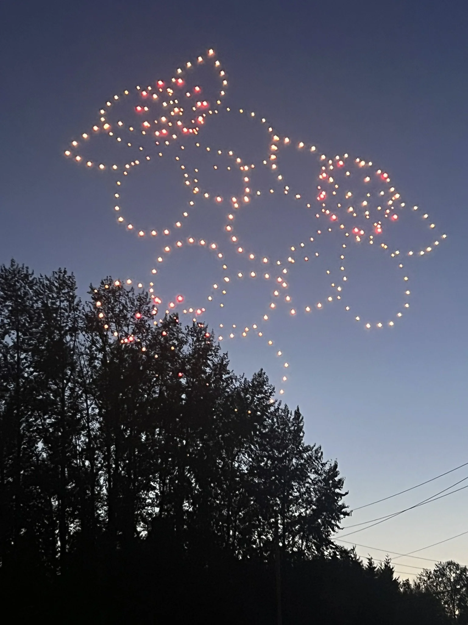 Drone Show Flowers.JPEG