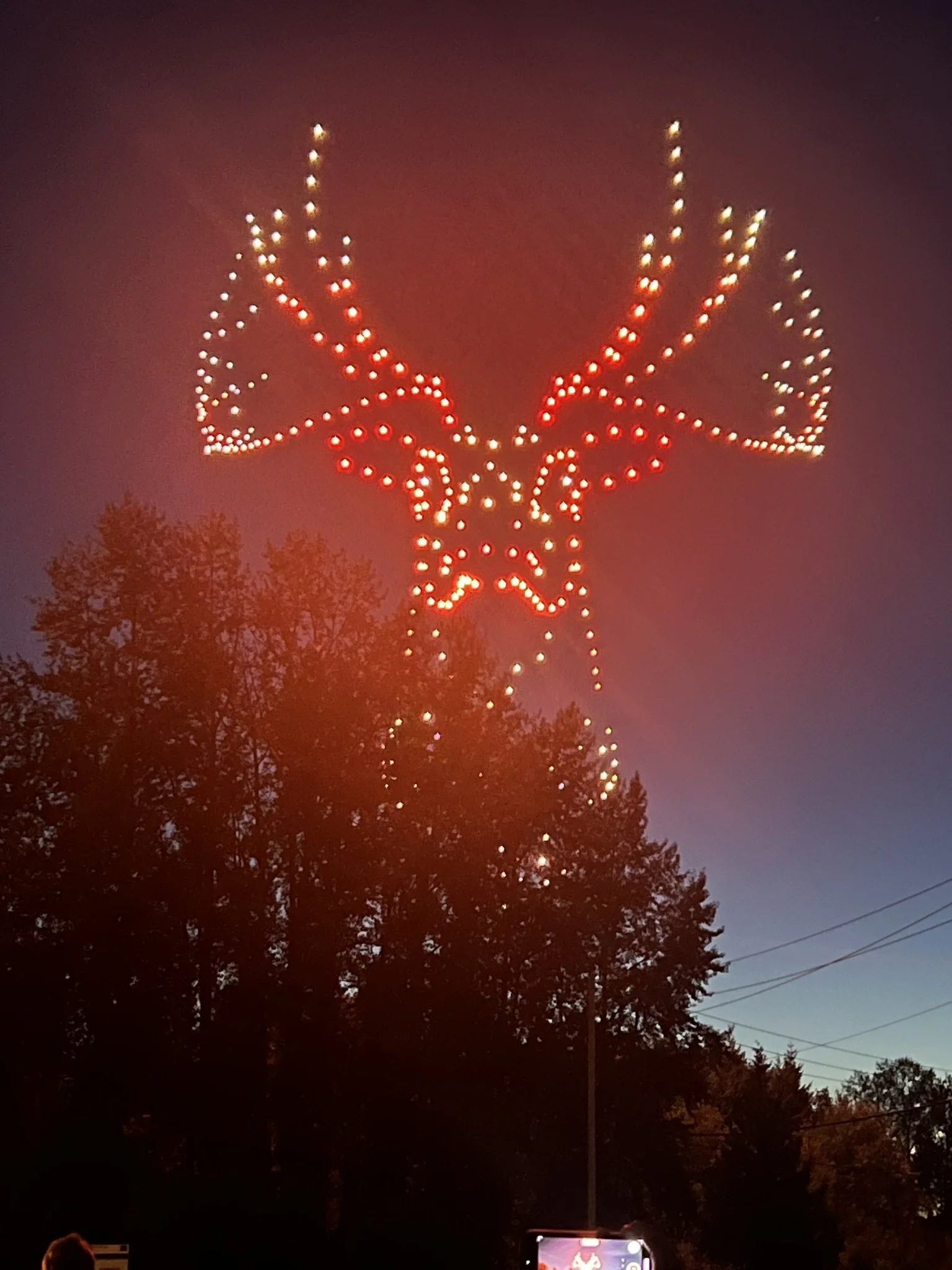 Drone Show Raindeer.JPEG