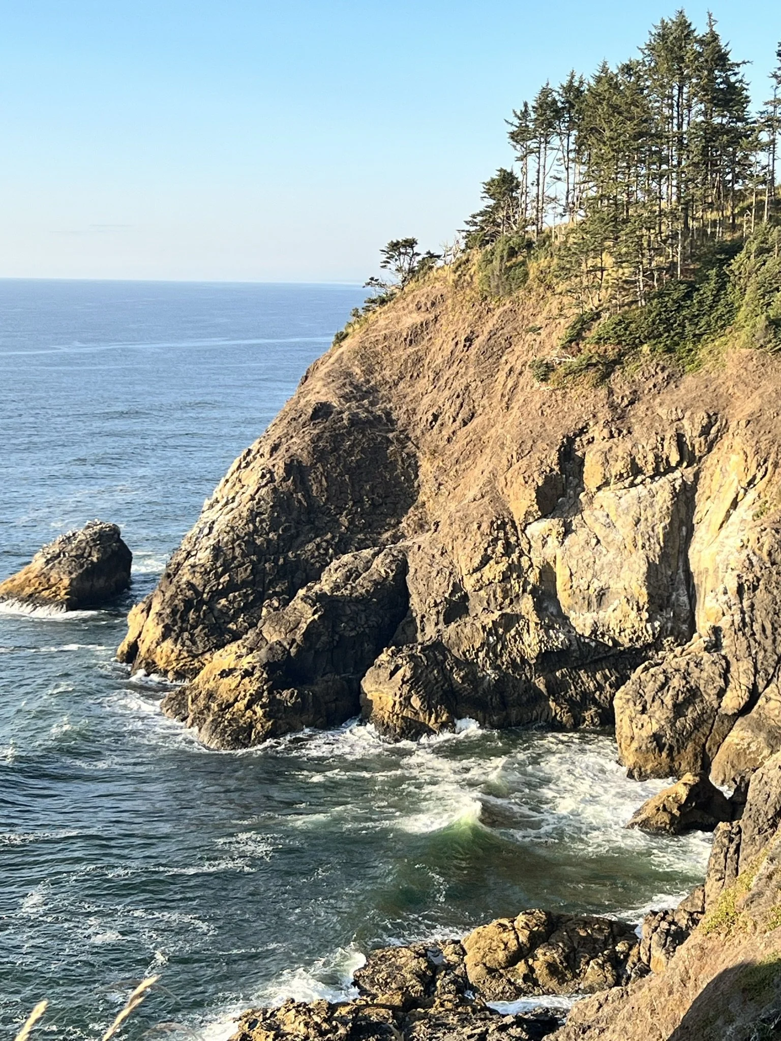 LewisClarkStatePark Coast.JPEG