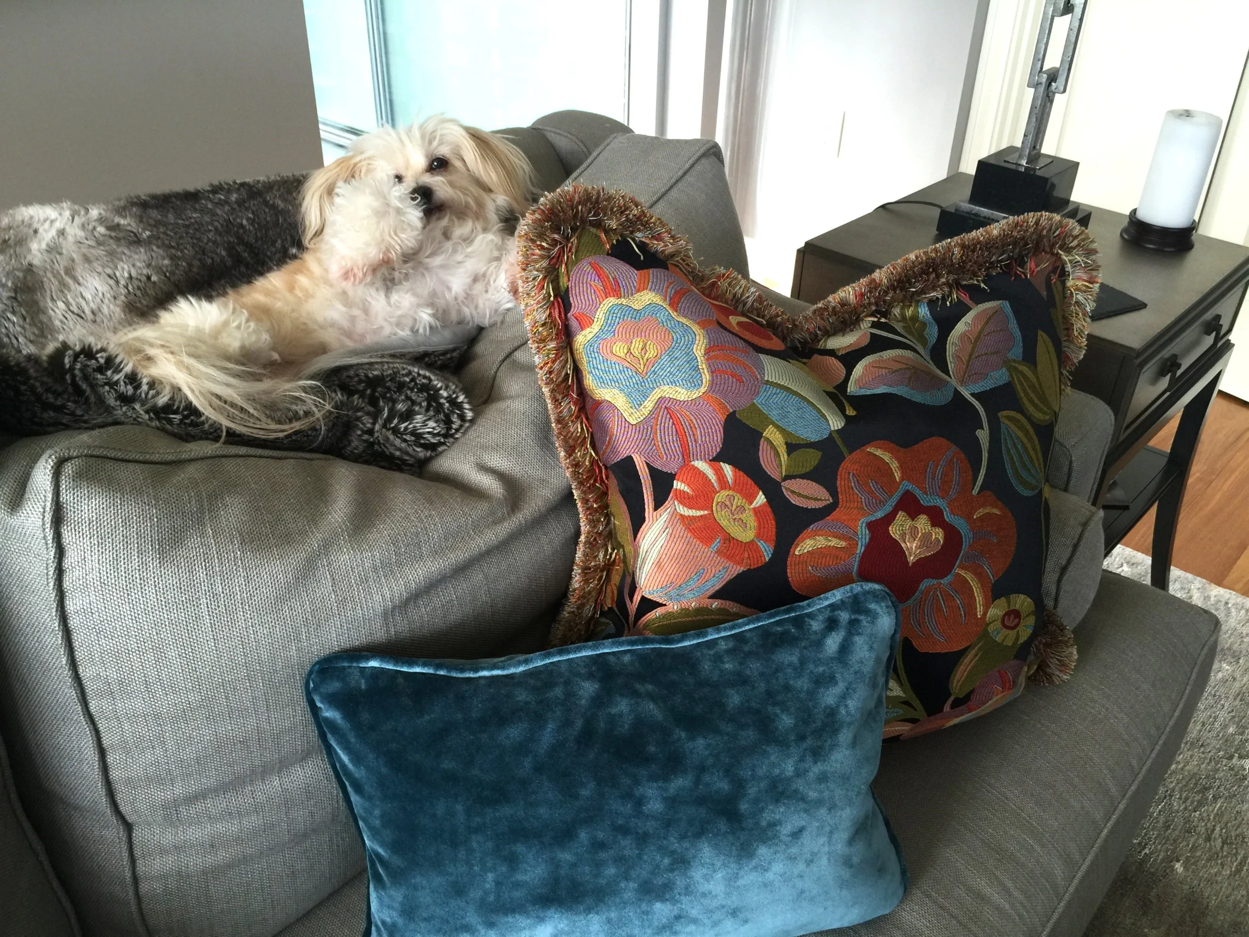 Pillows - 4 Edited  021926.JPG