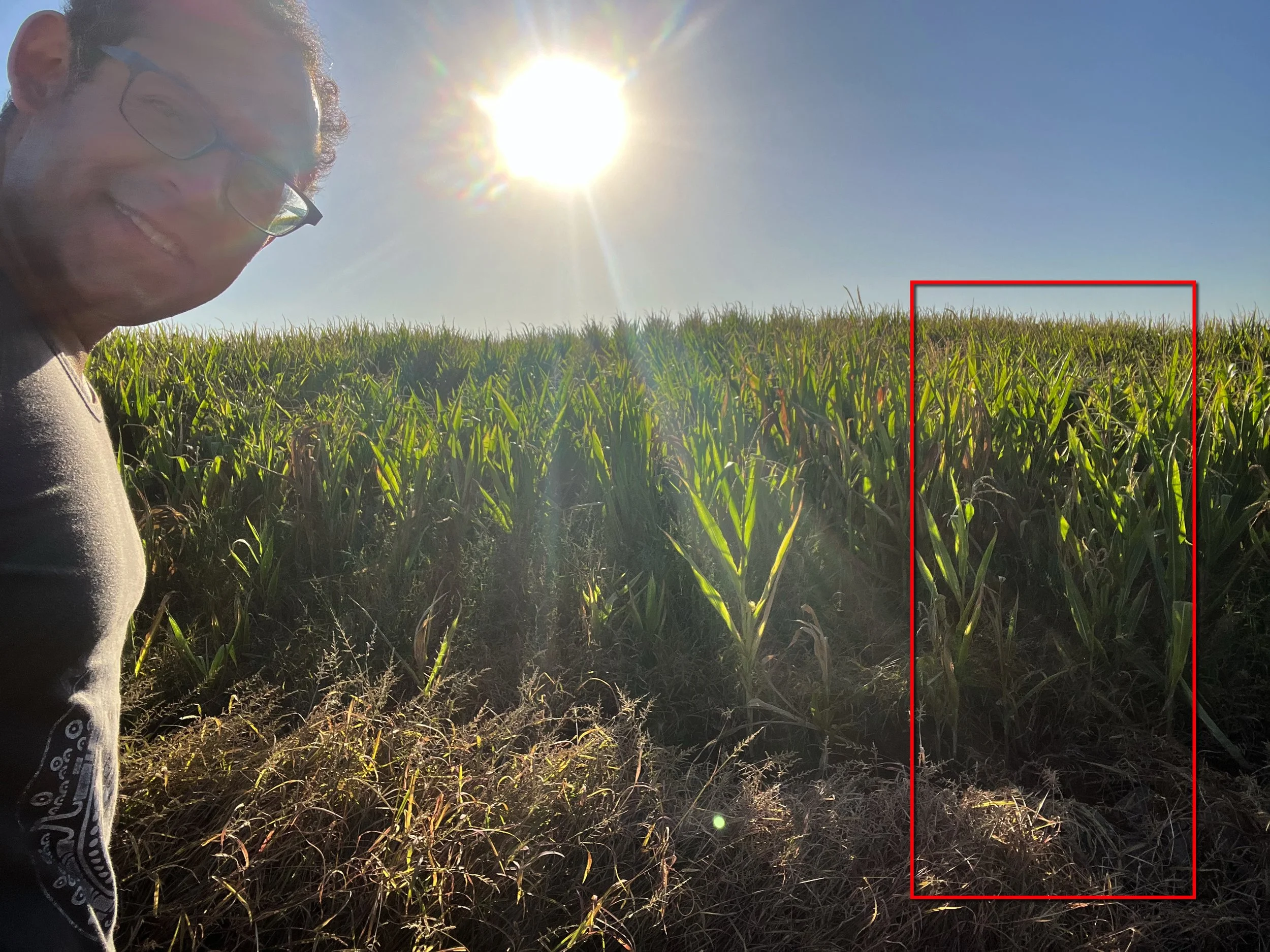 Share The Organic Vision, Not Rural-Urban Division