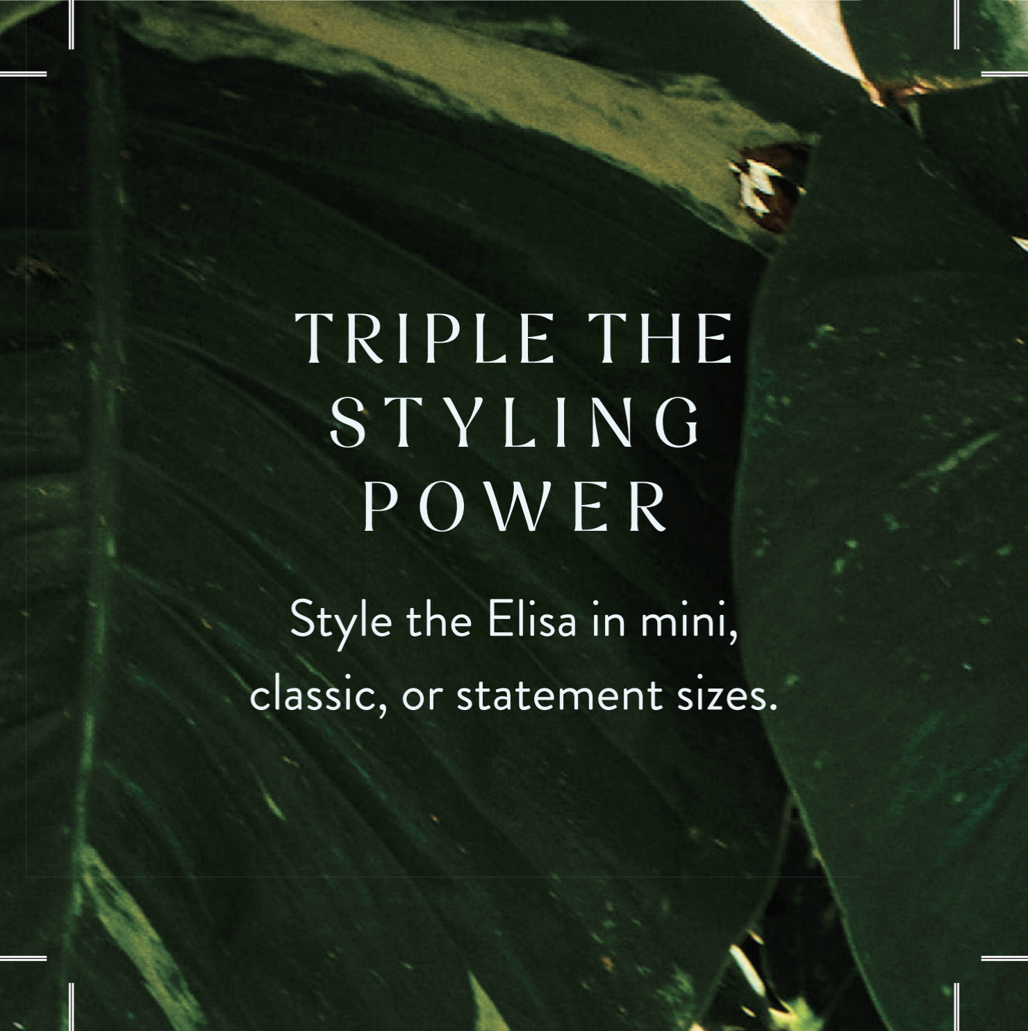 Screenshot 2026-03-10 at 8.30.54 PM.png