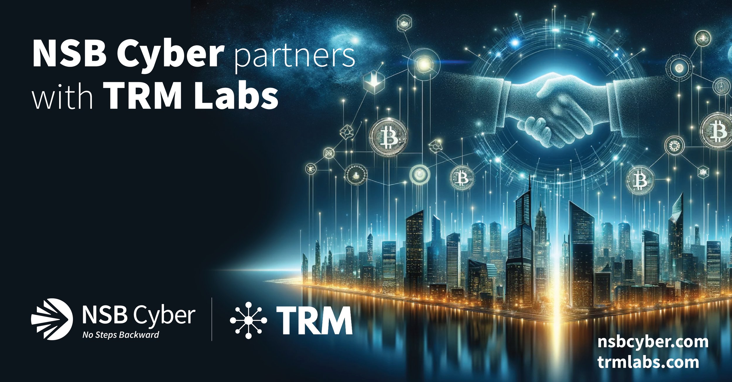 NSB Cyber Partners with TRM Labs — NSB Cyber