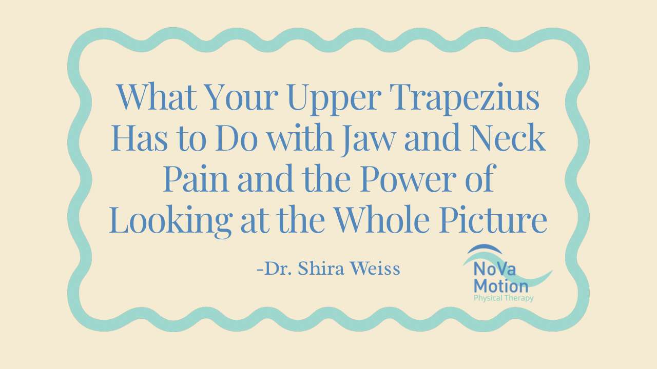 What Your Upper Trapezius Has to Do with Jaw and Neck Pain and the Power of Looking at the Whole Picture