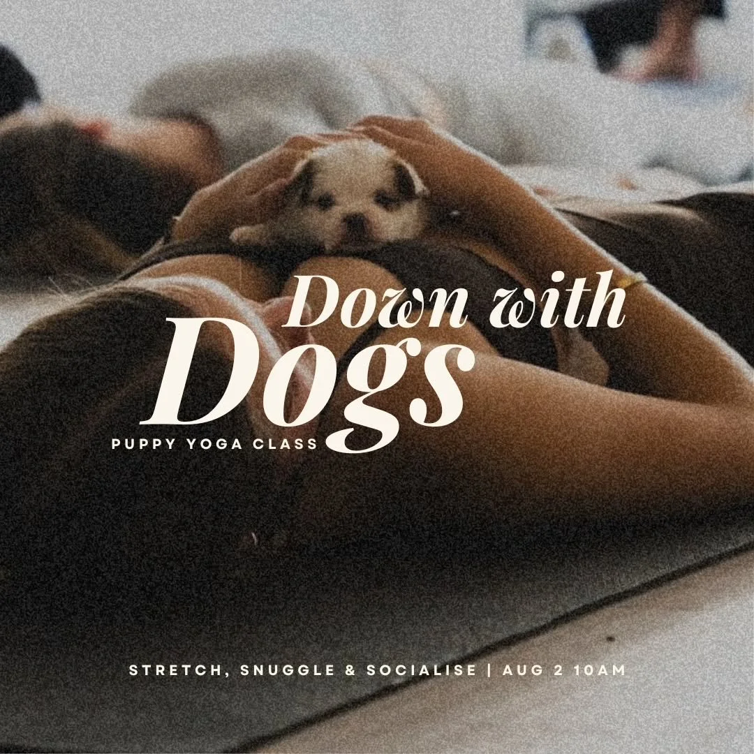 🧡 DOWN WITH DOGS IS HERE 🐶❤️

Yoga... but with puppy interruptions.

We're bringing together gentle movement, puppy cuddles and a whole lot of joy in one unforgettable class. Whether you spend more time stretching or snuggling, you're doing it righ