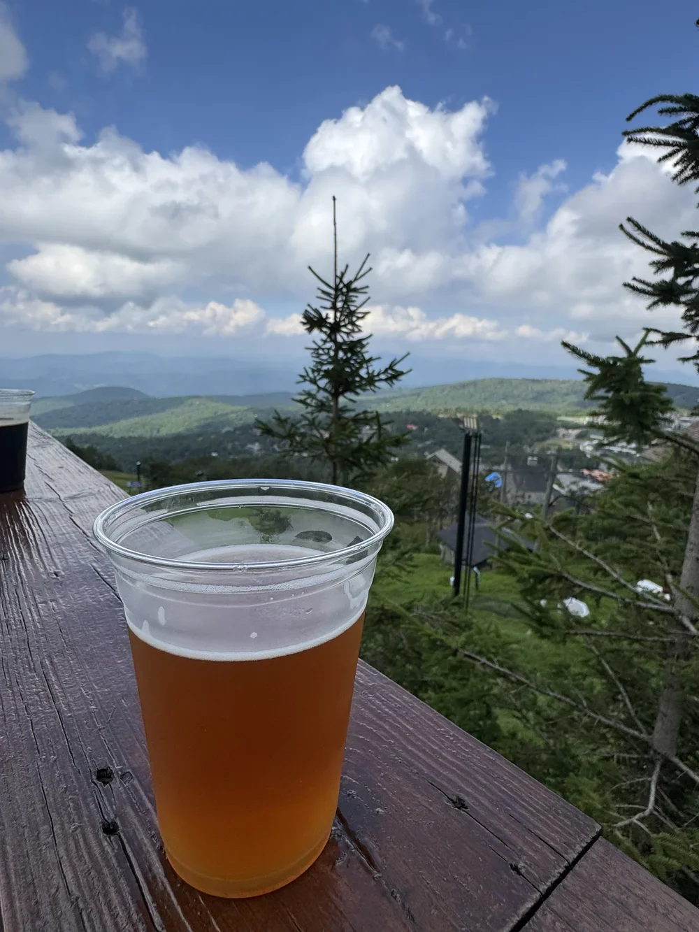 5506 Skytop bar Beech Mountain, NC