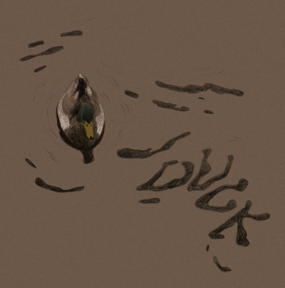 Untitled_Artwork+351.jpg