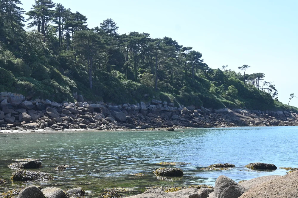 DSC_2797.JPG