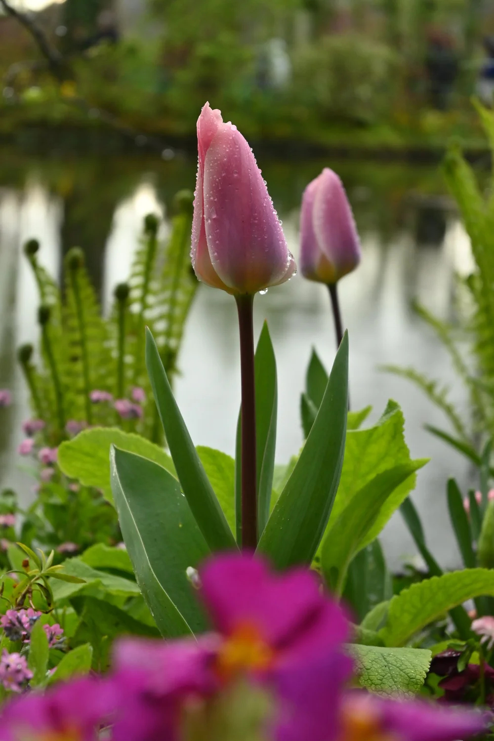 DSC_0517.JPG