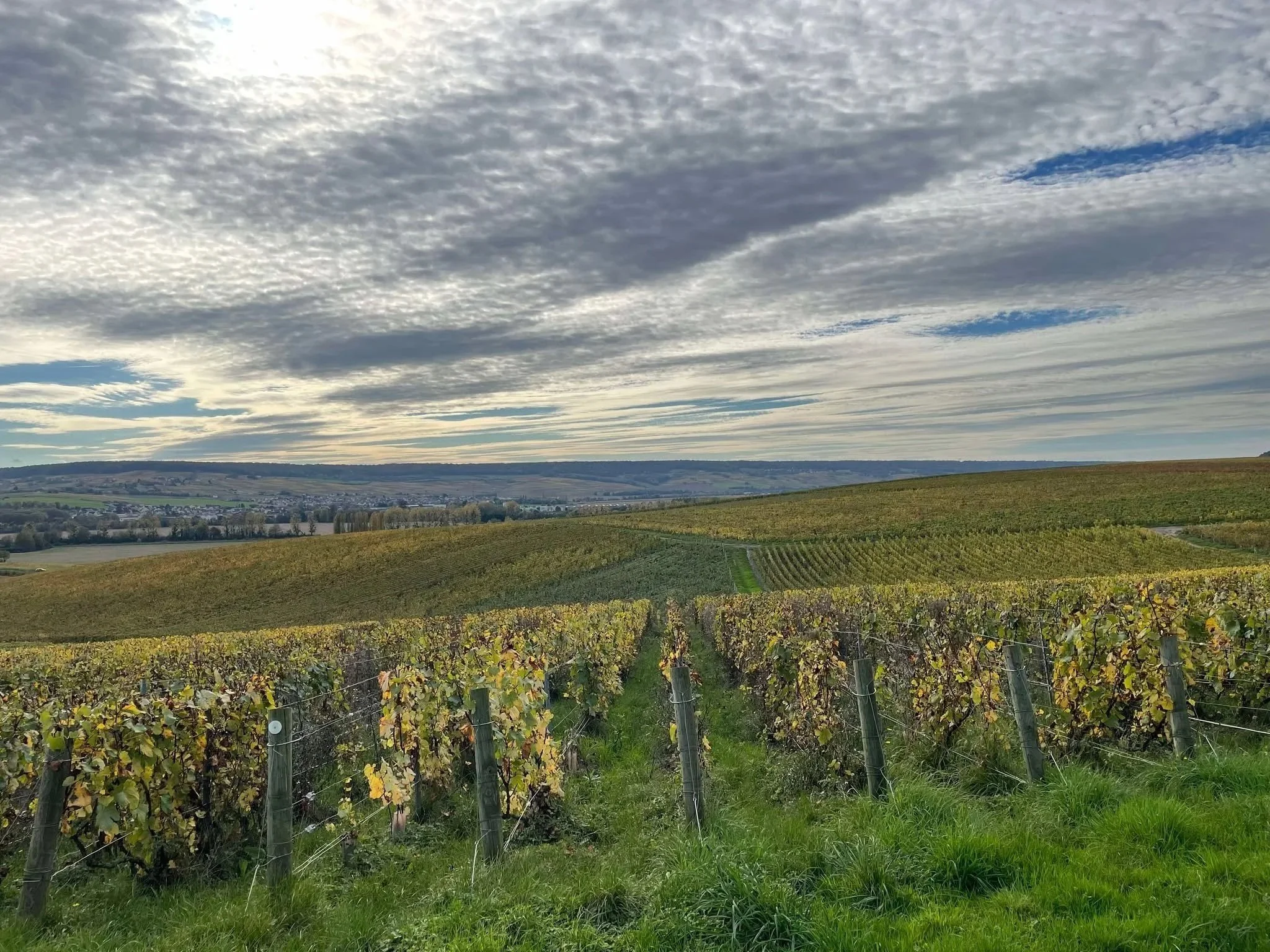 Champagne Vineyards French Road Trip Travel Guide