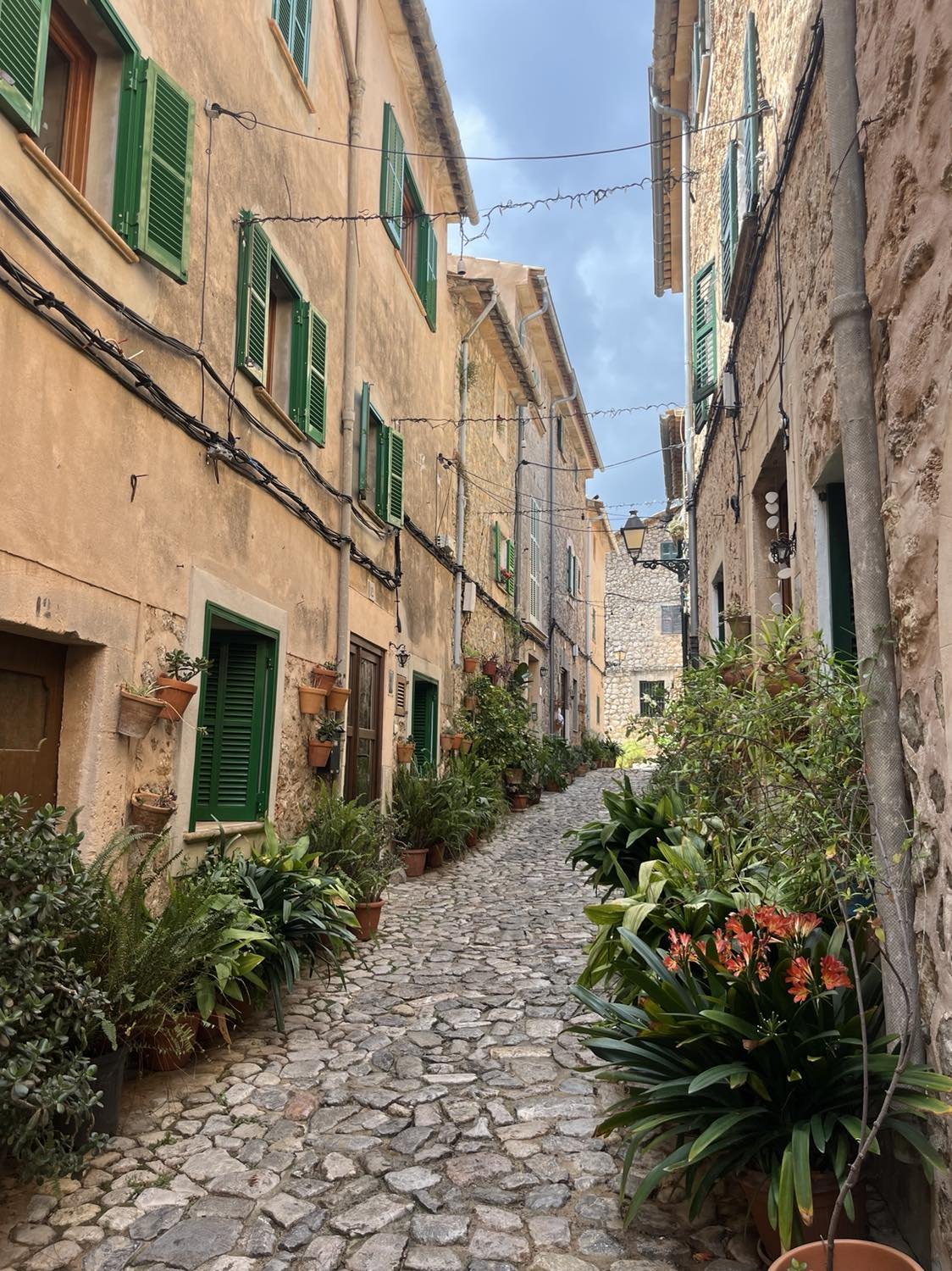 Cobbelstone narrow street in Valdemossa the mountain town in Mallorca, Spain. Old limestone buildings with green shutters, terracotta pots and lush green plans lining the road.