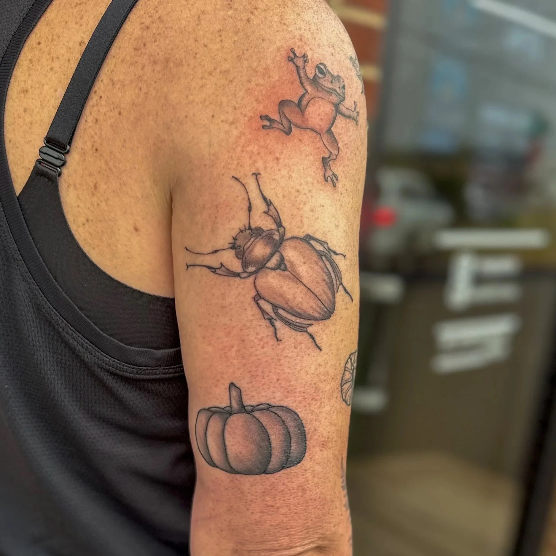 Tattoo of a frog, a beetle, and a pumpkin on a person's upper arm.
